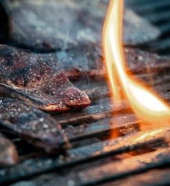 pit boss pellet grill manual