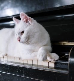 printable piano keyboard pdf
