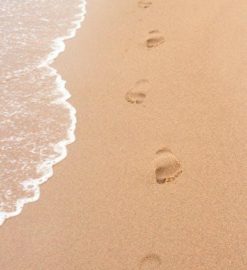 quiz print out of the poppers pdf