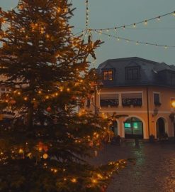 my christmas guide dvd