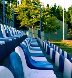 suzan lori parks venus pdf