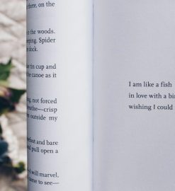 unravel me pdf google drive